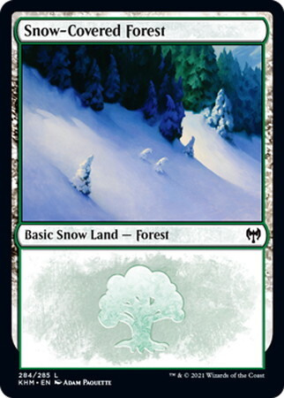 (KHM)Snow-Covered Forest(284)(F)/冠雪の森