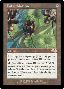 (USG)Lotus Blossom/水蓮の花
