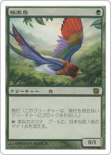 (8ED)極楽鳥/BIRDS OF PARADISE