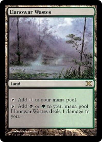 (10E)Llanowar Wastes(F)/ラノワールの荒原