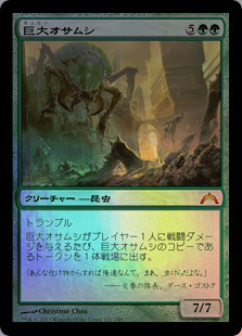 (GTC)巨大オサムシ(F)/GIANT ADEPHAGE