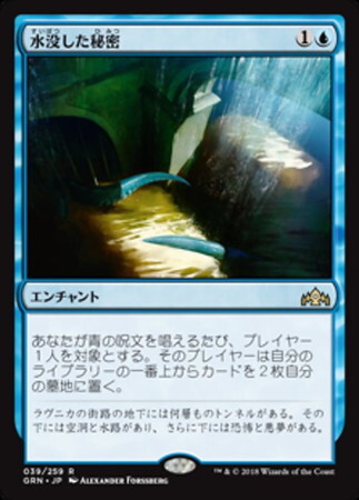 (GRN)水没した秘密(F)/DROWNED SECRETS