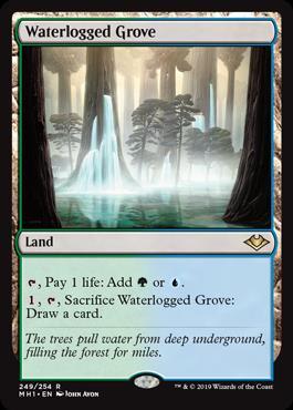 (MH1)Waterlogged Grove/冠水樹林帯