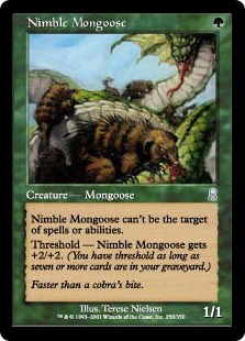 (ODY)Nimble Mongoose/敏捷なマングース