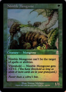 (ODY)Nimble Mongoose(F)/敏捷なマングース