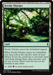 (BFZ)Fertile Thicket/肥沃な茂み