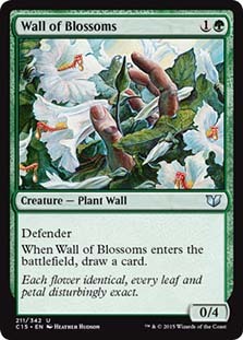 (C15)Wall of Blossoms/花の壁