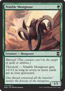 (EMA)Nimble Mongoose(F)/敏捷なマングース