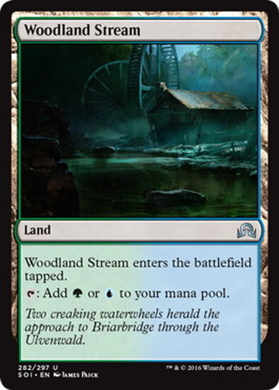 (SOI)Woodland Stream/森林地の小川