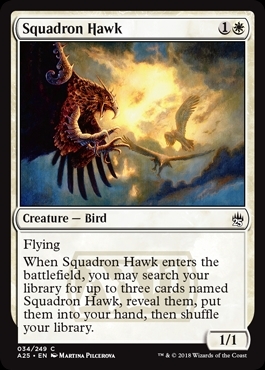 (A25)Squadron Hawk/戦隊の鷹