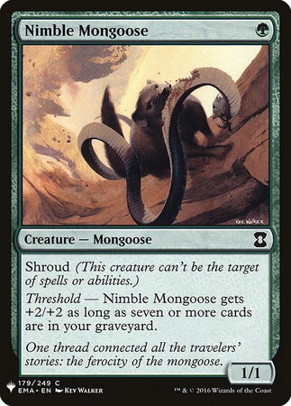 (MB1)Nimble Mongoose/敏捷なマングース