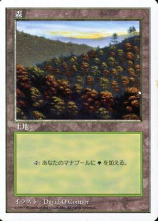 (5ED)森(97年)(C)/FOREST