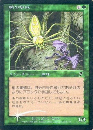 (7ED)梢の蜘蛛(F)/CANOPY SPIDER