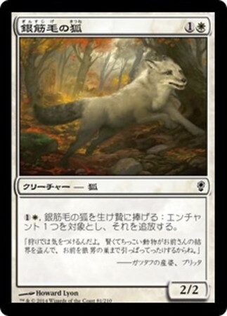 (CNS)銀筋毛の狐/SILVERCHASE FOX