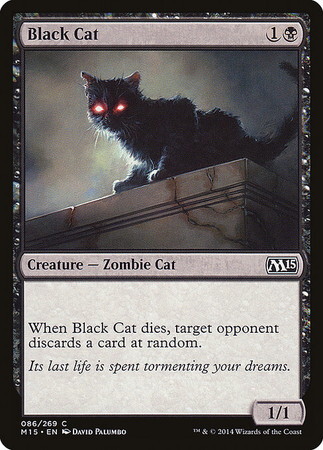(M15)Black Cat(F)/黒猫