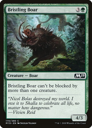 (M19)Bristling Boar/逆毛の猪