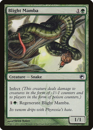 (SOM)Blight Mamba(F)/荒廃のマンバ