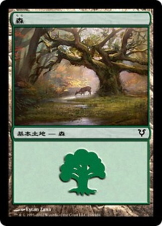 (AVR)森(244)/FOREST