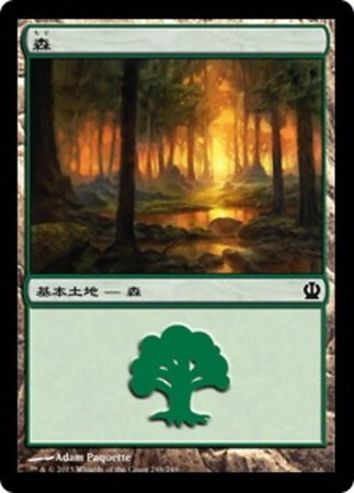 (THS)森(248)/FOREST