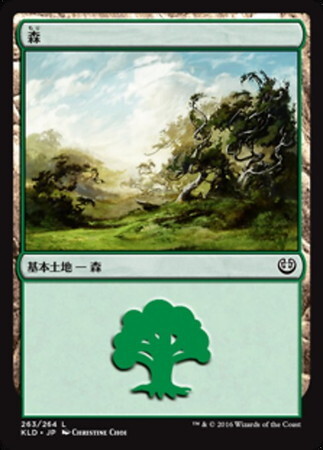 (KLD)森(263)/FOREST