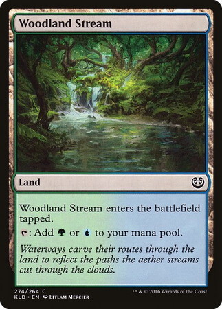 (KLD)Woodland Stream/森林地の小川