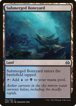 (AER)Submerged Boneyard/水没した骨塚