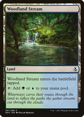 (AKH)Woodland Stream/森林地の小川