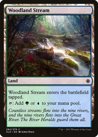 (XLN)Woodland Stream/森林地の小川