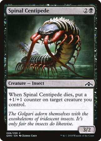 (GRN)Spinal Centipede/背骨ムカデ