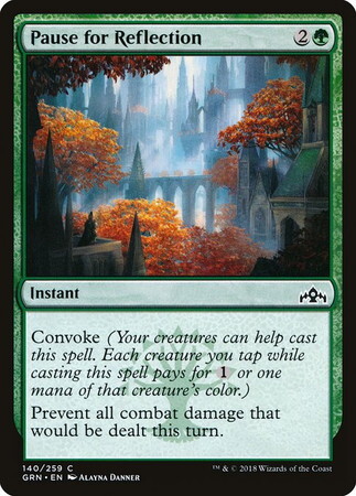 (GRN)Pause for Reflection(F)/内省のための小休止