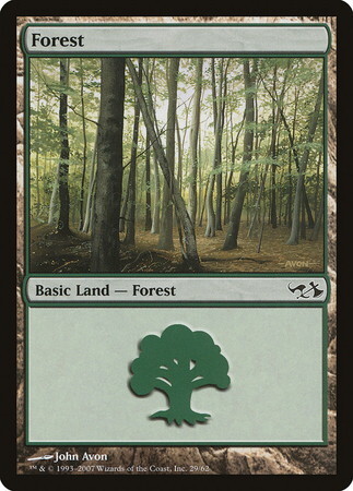 (DD1)Forest(29)/森