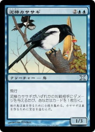 (10E)泥棒カササギ/THIEVING MAGPIE