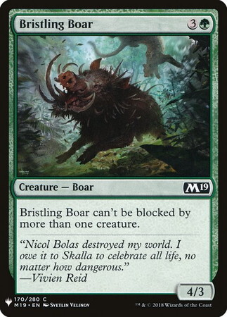 (MB1)Bristling Boar/逆毛の猪