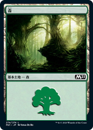 (M21)森(274)/FOREST