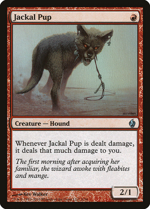 (PD2)Jackal Pup(F)/ジャッカルの仔