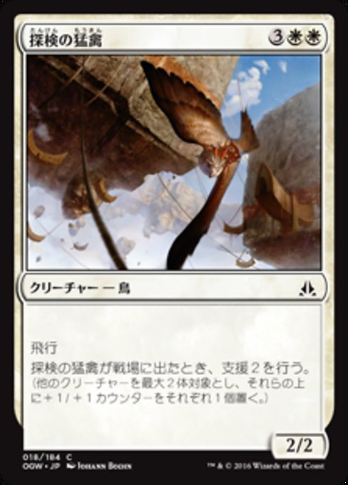 (OGW)探検の猛禽/EXPEDITION RAPTOR