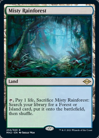 (MH2)Misty Rainforest/霧深い雨林