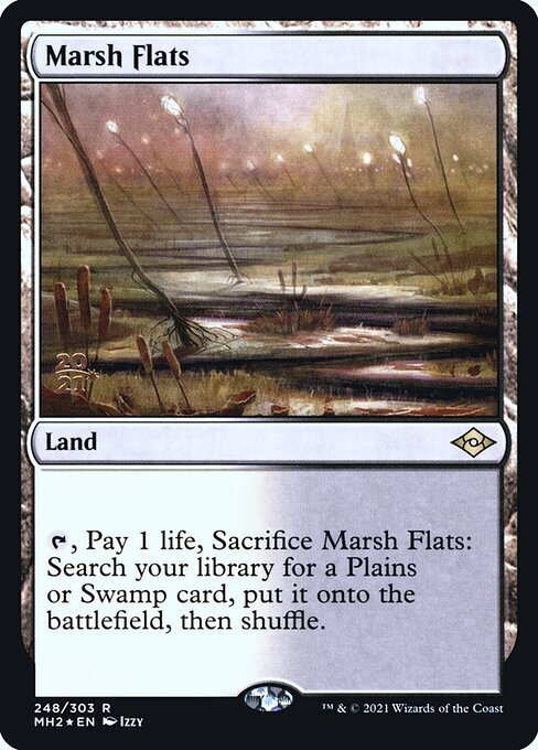(MH2)Marsh Flats(年度入)(F)/湿地の干潟
