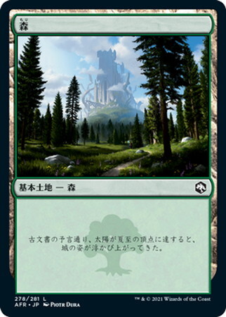 (AFR)森(278)(F)/FOREST
