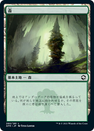 (AFR)森(280)(F)/FOREST