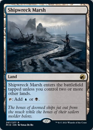 (MID)Shipwreck Marsh(F)/難破船の湿地