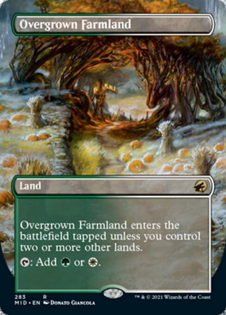 (MID)Overgrown Farmland(ボーダーレス)(F)/草茂る農地