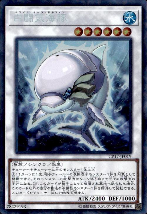 白闘気海豚