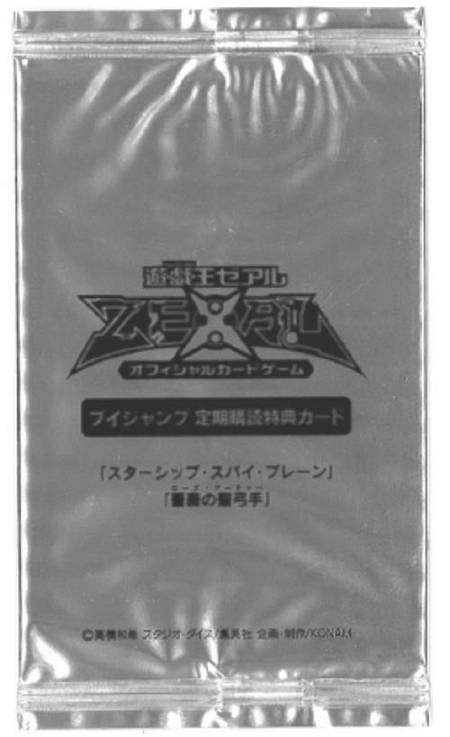 定期購読16弾(スターシップスパイプレーン・薔薇の聖弓手)