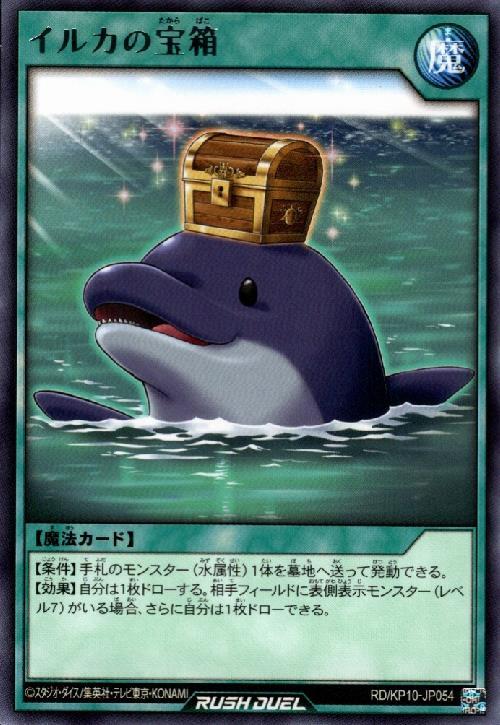 イルカの宝箱(高価N)