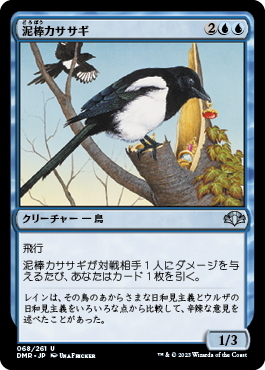 (DMR)泥棒カササギ/THIEVING MAGPIE