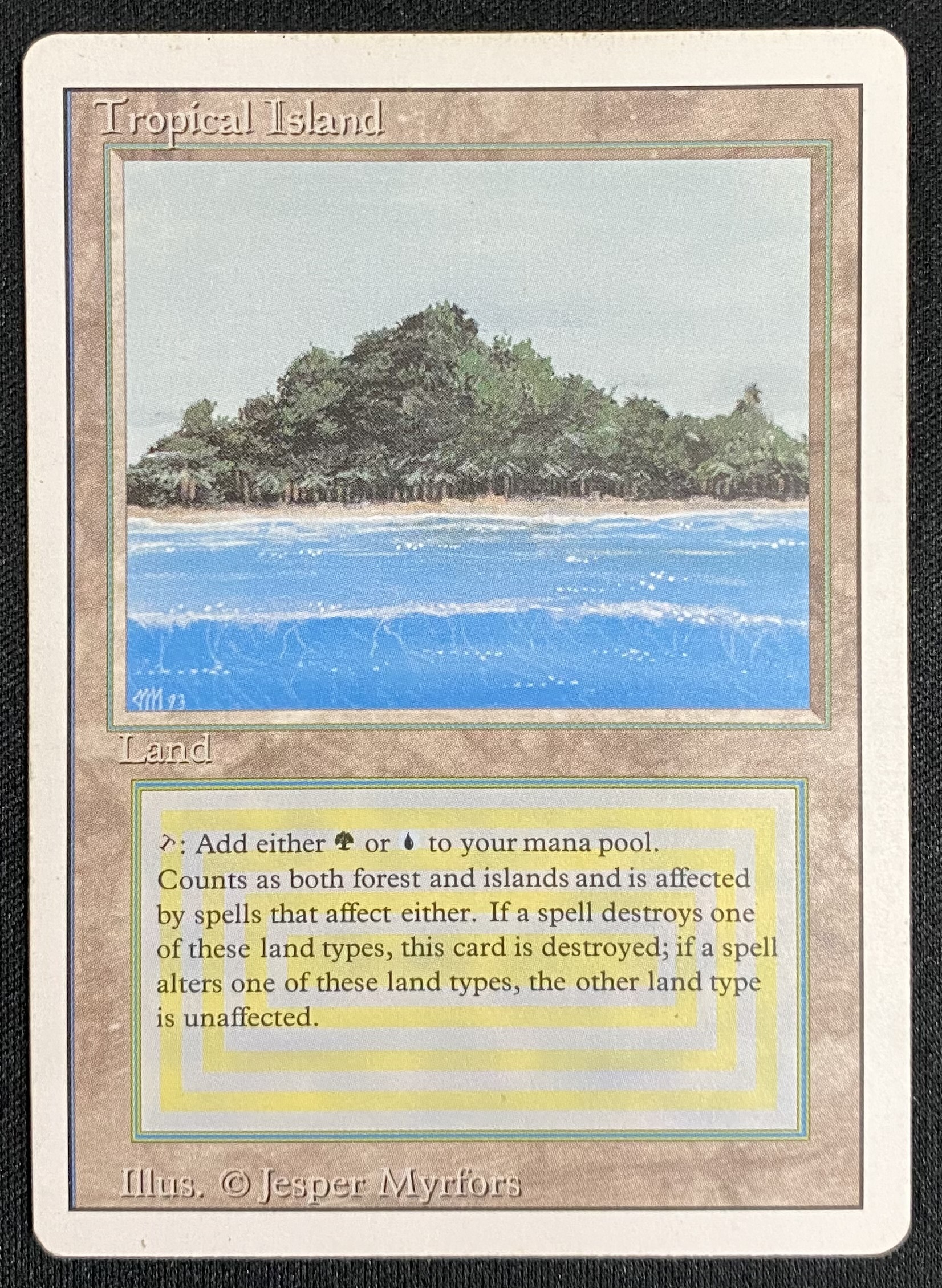 MTG Tropical Island 英語 美品？ | vrealitybolivia.com