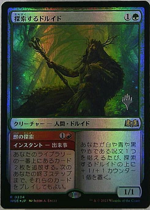 (WOE)探索するドルイド(プロモP)(F)/QUESTING DRUID