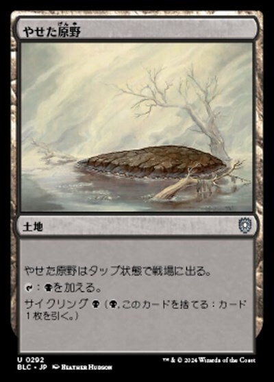 (BLC)やせた原野(0292)/BARREN MOOR