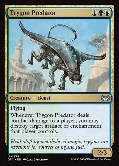 (DSC)Trygon Predator(0238)/三角エイの捕食者